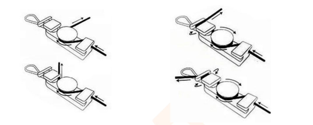 FCST601116 (9) FCST601116 (9)