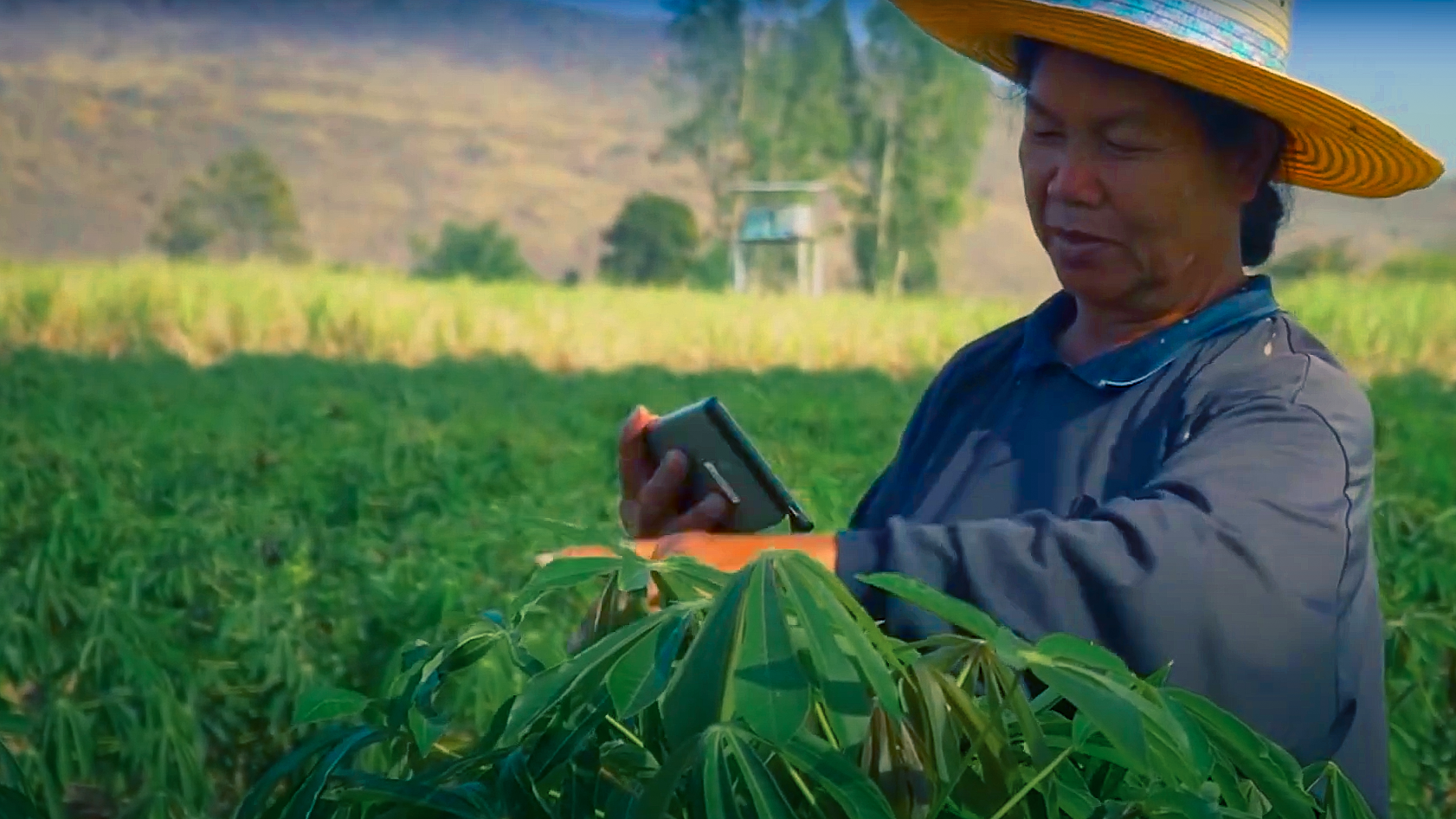 El uso de redes de fibra &oacute;ptica en zonas rurales